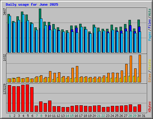 Daily usage for June 2025
