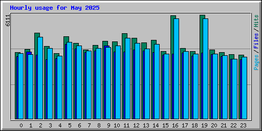 Hourly usage for May 2025