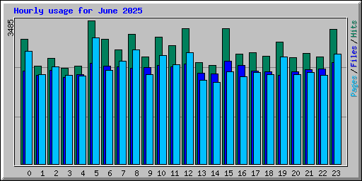 Hourly usage for June 2025