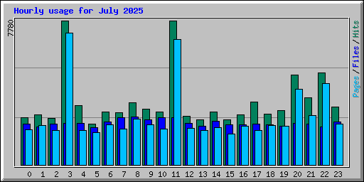 Hourly usage for July 2025