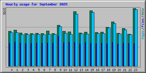 Hourly usage for September 2025
