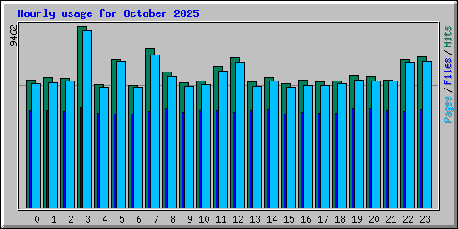 Hourly usage for October 2025