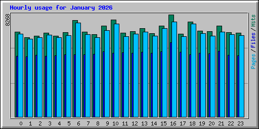 Hourly usage for January 2026