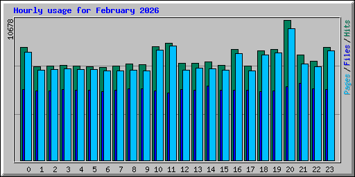 Hourly usage for February 2026